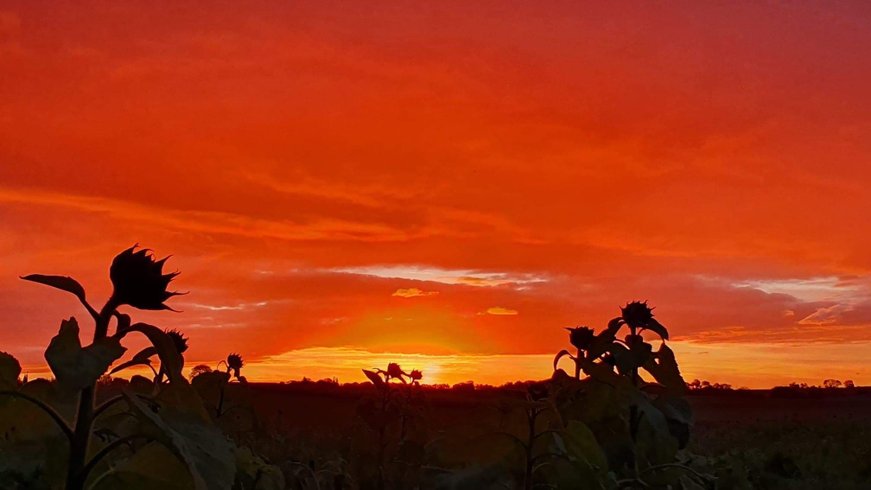 Domaine AbracadaRoom : Jardin Zen du Quistillic - Image 20