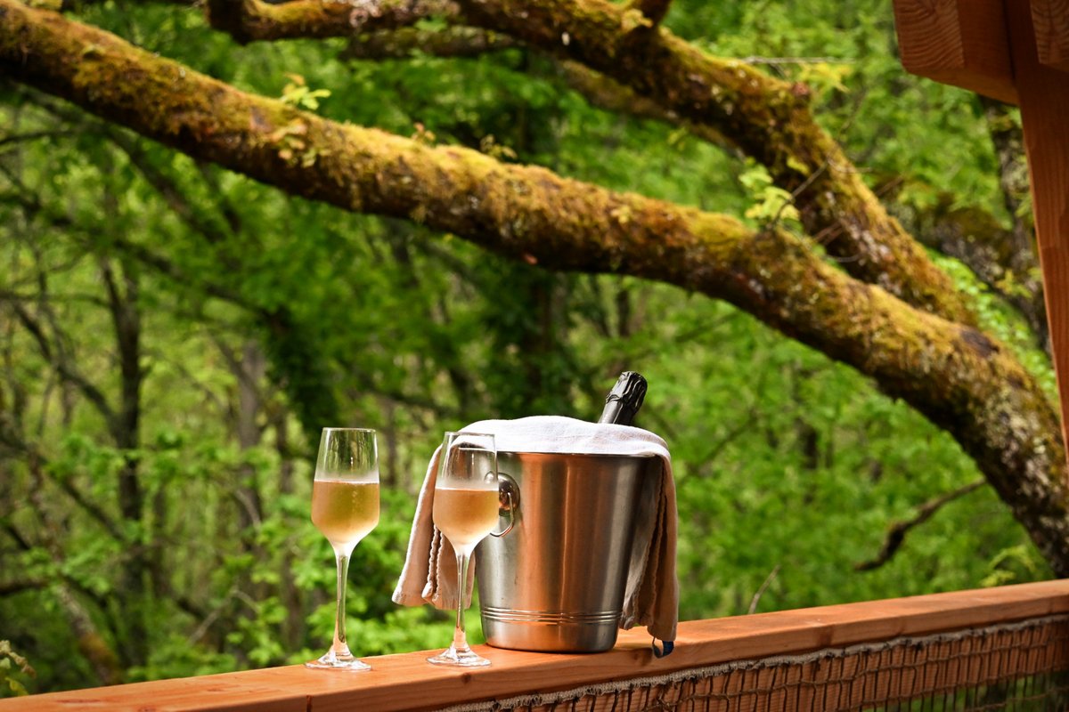 Cabane perchée & spa + sauna à Puygaillard De Quercy (12)