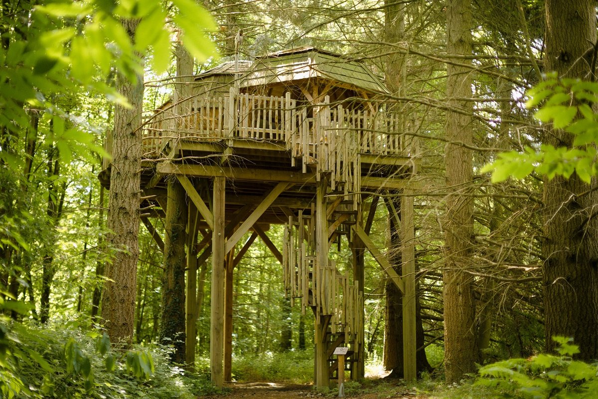 Cabane Spa Coupole à Raray (6)