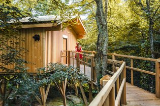 Cabane dans les arbres Oise
