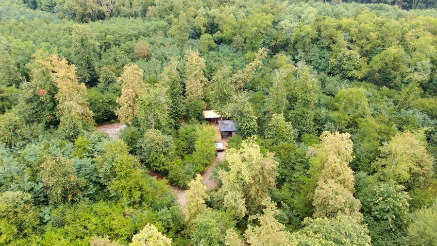 Hébergement AbracadaRoom : Ecolodge So Wood 33 - Image 10