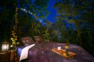 Le Mas du Bois Barbeau