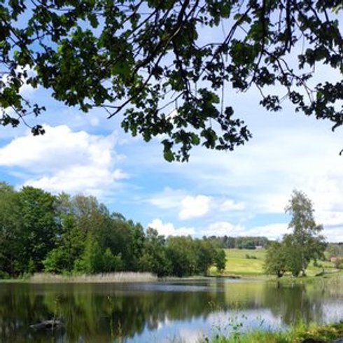 Hébergement AbracadaRoom : Tiny des Rêves - Image 14