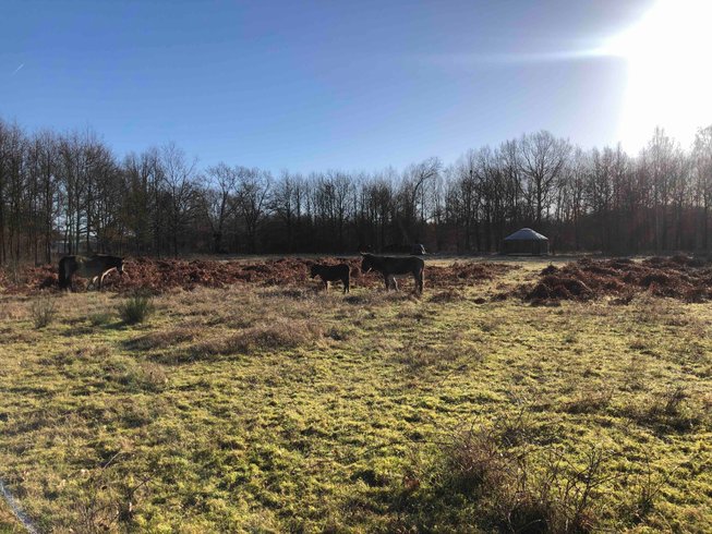 Domaine AbracadaRoom : O z'insolites - Image 12