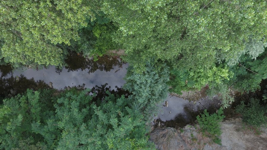 Domaine AbracadaRoom : Le Mas Cabanids - Image 6