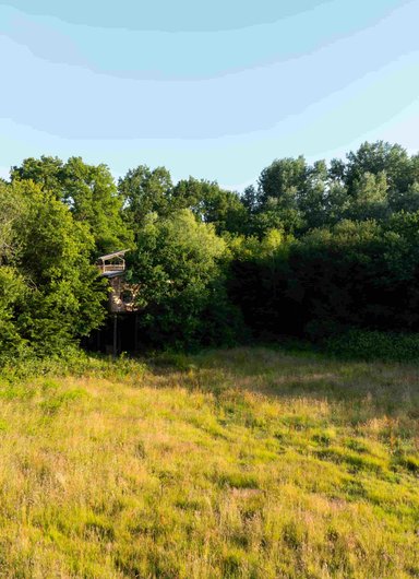Cabane Spa Ecole Buissonnière à St-Léger-Aux-Bois