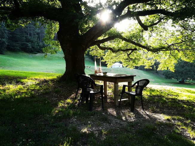 Domaine AbracadaRoom : Le Mas du Pestrin - Image 14