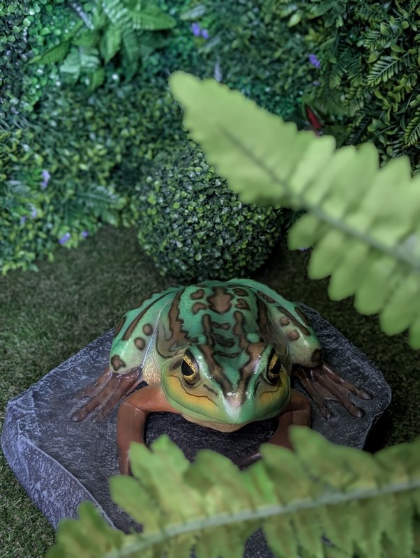 Nuit insolite avec Spa, sauna et jardin privatifs immersion en AMAZONIE à Le Passage D'agen (31)