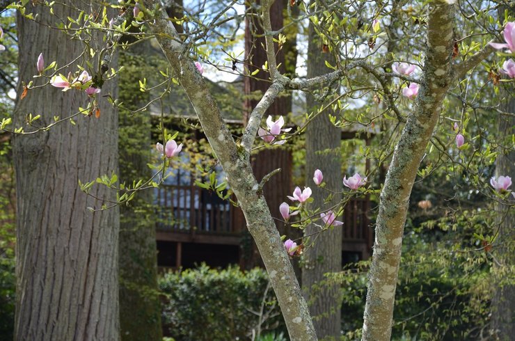Hébergement AbracadaRoom : Cabane du Manoir du Parc & Spa privatif - Image 20