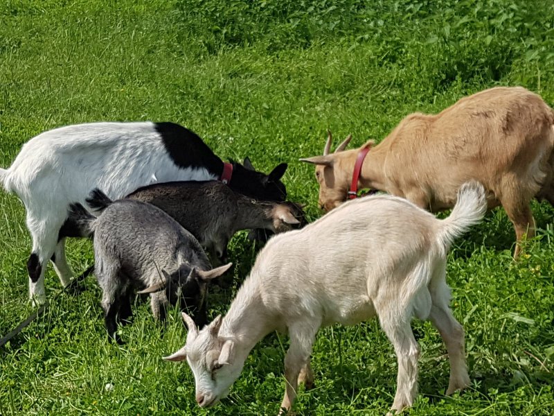 Domaine AbracadaRoom : La Maison du Bonheur - Image 10