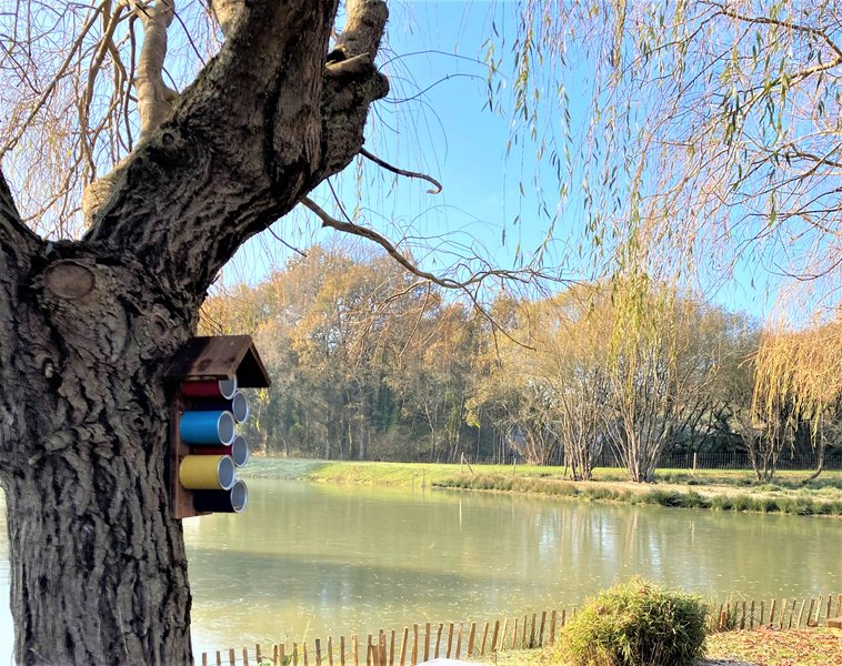 Hébergement AbracadaRoom : Ecolodge insolite -100% Eco-Responsable - Image 20