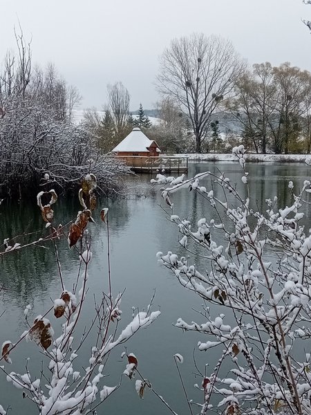 Hébergement AbracadaRoom : Le Kota Convivial - Image 3