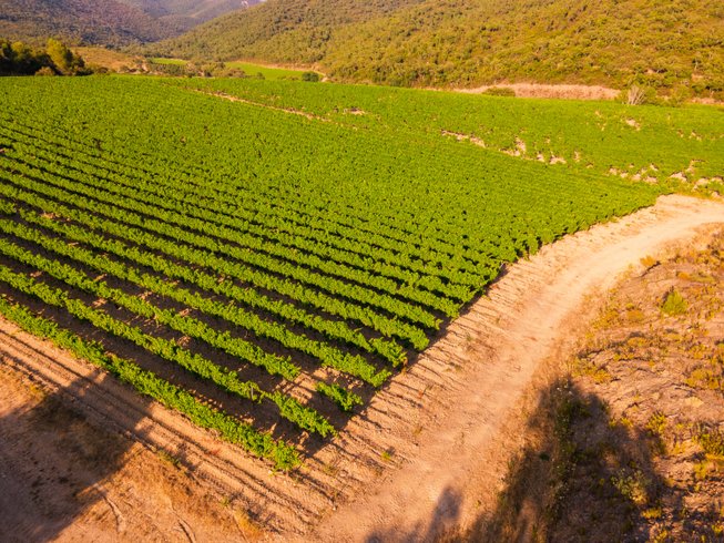 Domaine AbracadaRoom : Homnest (La Londe) - Image 22