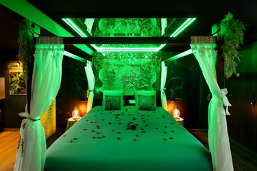 La Forêt Enchantée - Love Room à thème - Jacuzzi à Schirrhein (3)