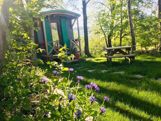 Hébergement AbracadaRoom : Roulotte Colibri - Image 2