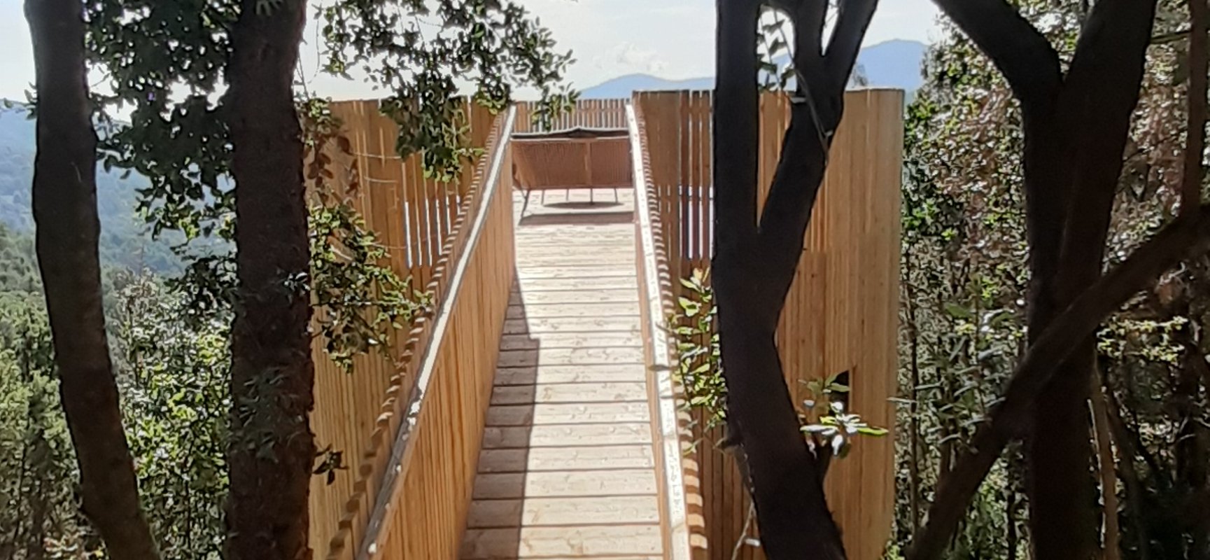 Cabane l'Albitru à Poggio-Marinaccio (4)
