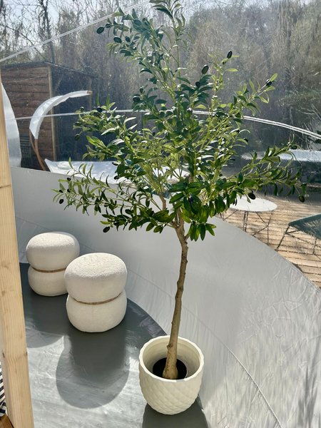 Hébergement AbracadaRoom : La Bulle Nîmoise Premium & Spa - Image 26