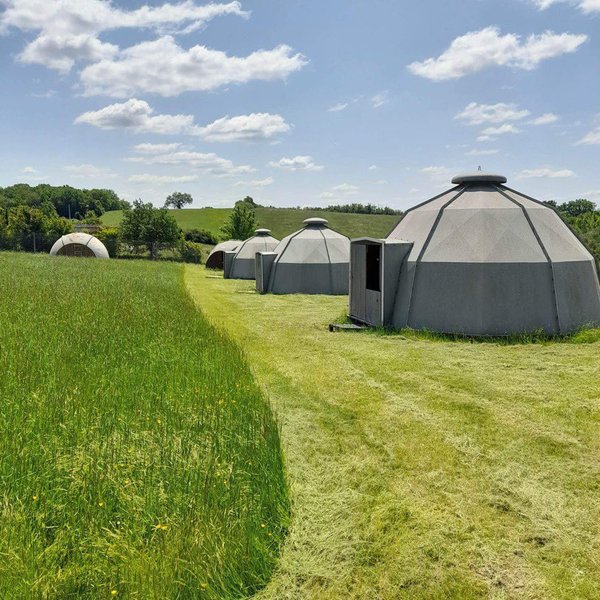 Domaine AbracadaRoom : Wallaby de Bennett'on - Image 5