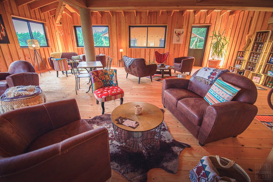 Domaine AbracadaRoom : Le Domaine de Vitarelle - Image 3