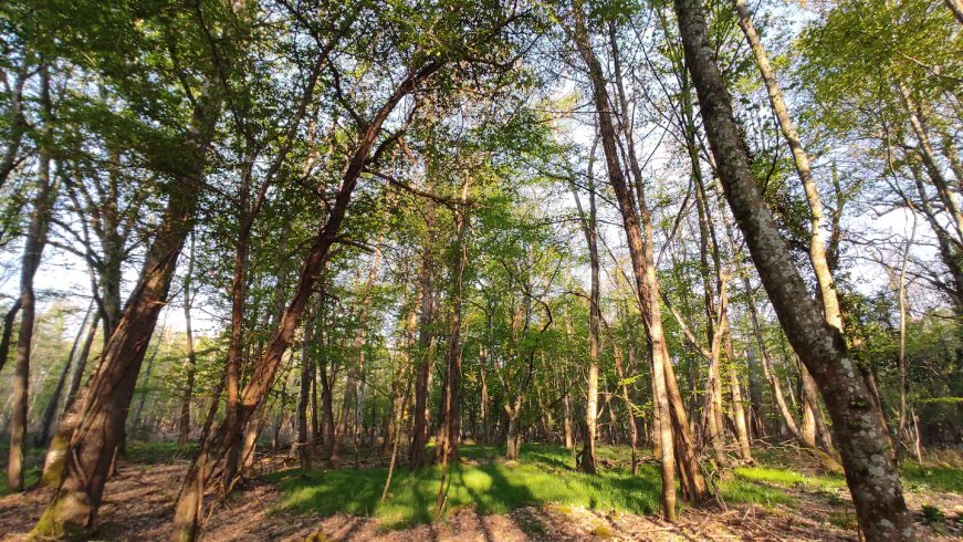 Hébergement AbracadaRoom : Cabane, spa et nature - Image 8