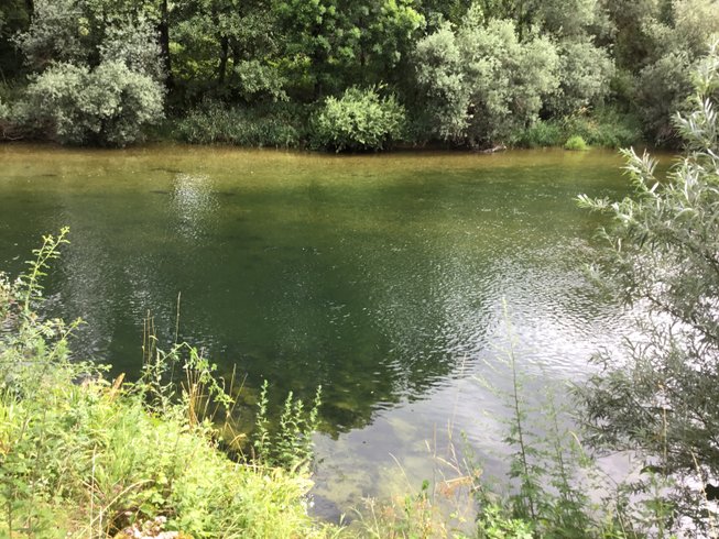 Domaine AbracadaRoom : Tiny house de la Gravière - Image 9