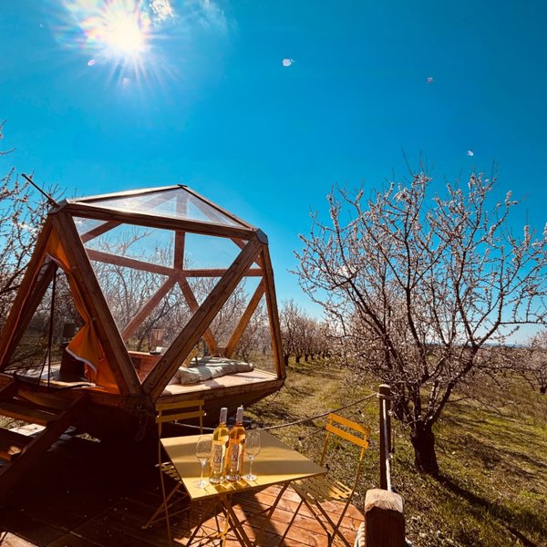 Hébergement AbracadaRoom : La bulle Ico - Image 4