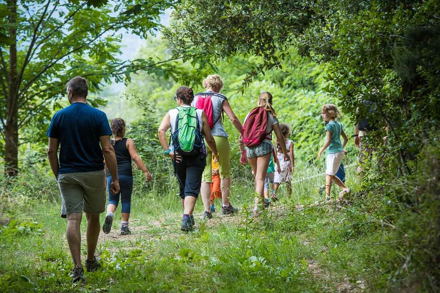 Domaine AbracadaRoom : Bivouac nature - Image 8