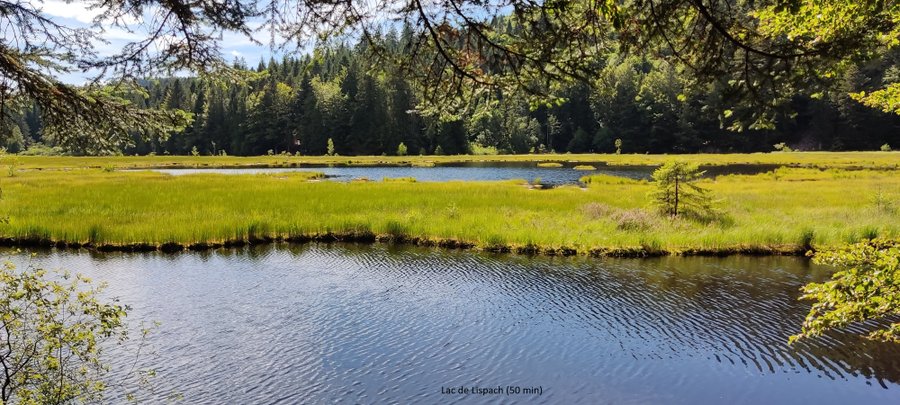 Domaine AbracadaRoom : La Pat' de l'ours - Image 7