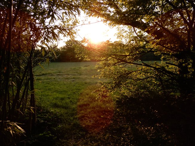 Hébergement AbracadaRoom : La Tiny House & SPA du Lutin Many - Image 41