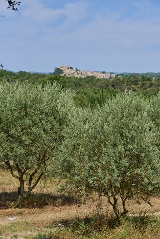 Hébergement AbracadaRoom : Ecolodge thym 2 pers - Image 5