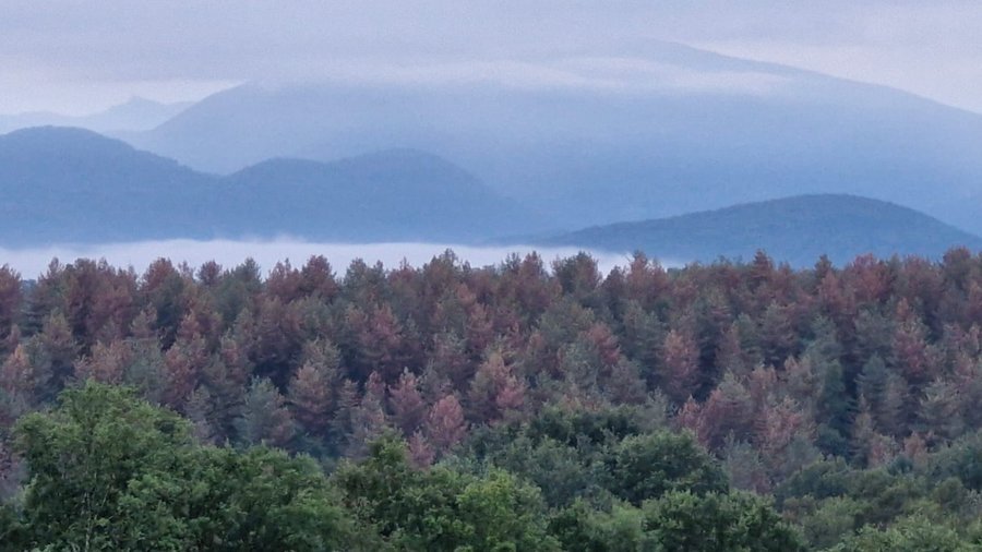 Domaine AbracadaRoom : Spiru'bulle - Image 13