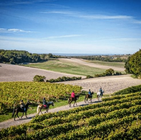 Domaine AbracadaRoom : Homnest (Mortagne) - Image 13