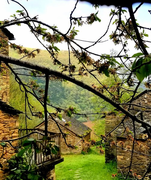 Domaine AbracadaRoom : Soulié du Tarn - Image 9