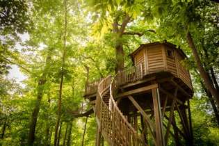 Coucoo Grands Chênes