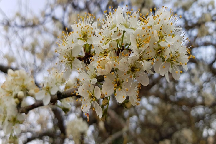 Domaine AbracadaRoom : Naya Lodge - Image 6