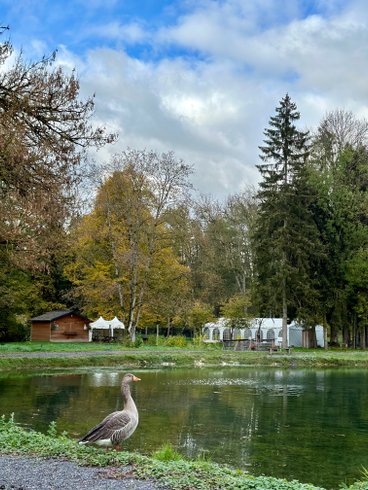 Domaine AbracadaRoom : Domaine de Neuville - Cabanes sur l'eau d'exception - Image 17