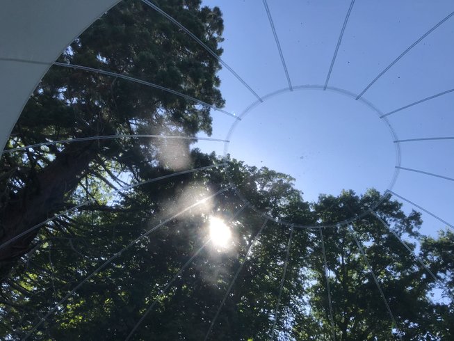 Hébergement AbracadaRoom : Bulle du Séquoia - Image 4