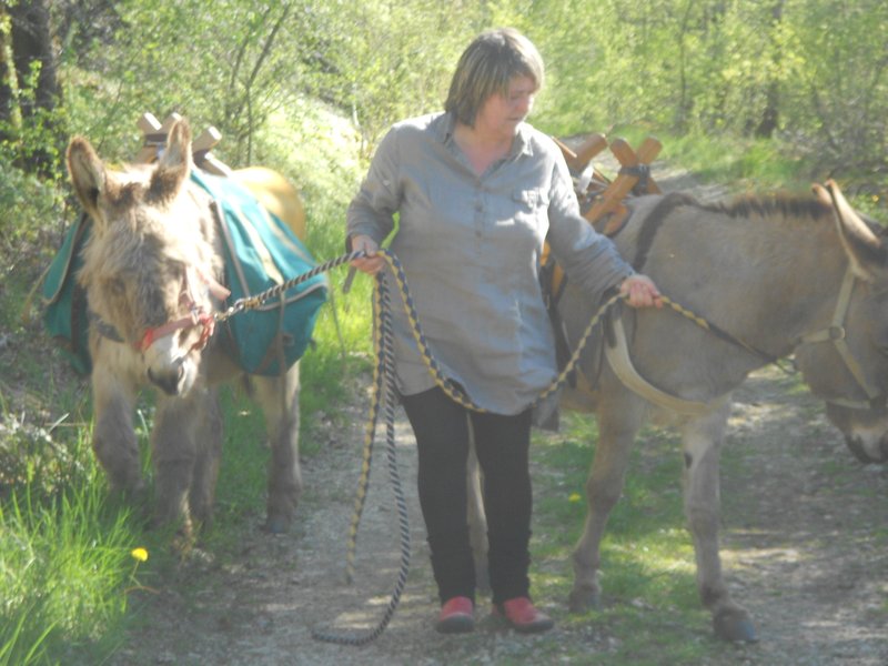 Domaine AbracadaRoom : Domaine des Calosses - Image 14