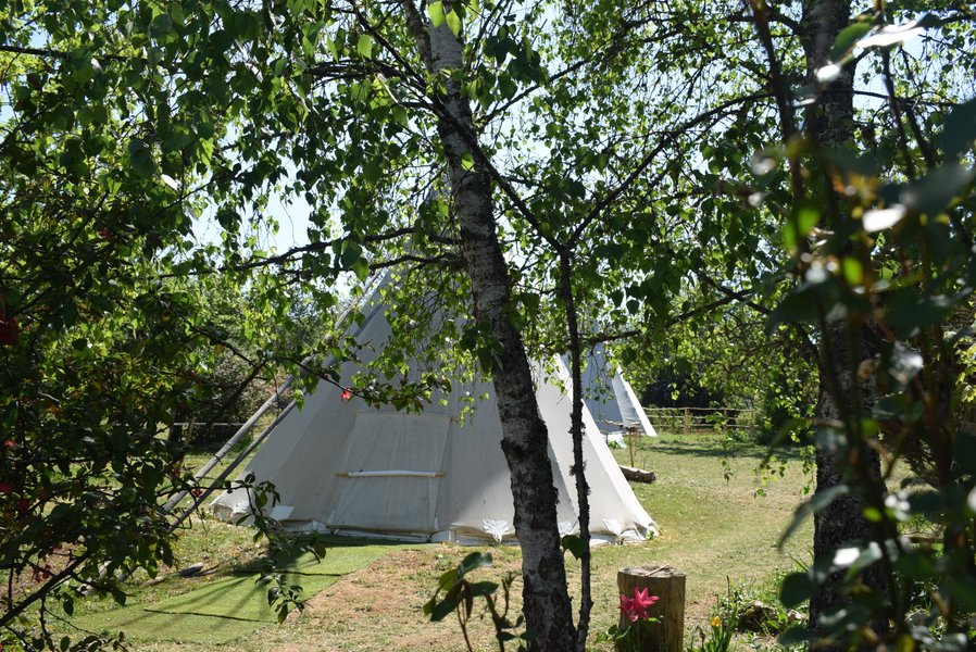 Hébergement AbracadaRoom : Sitting bull - Image 6