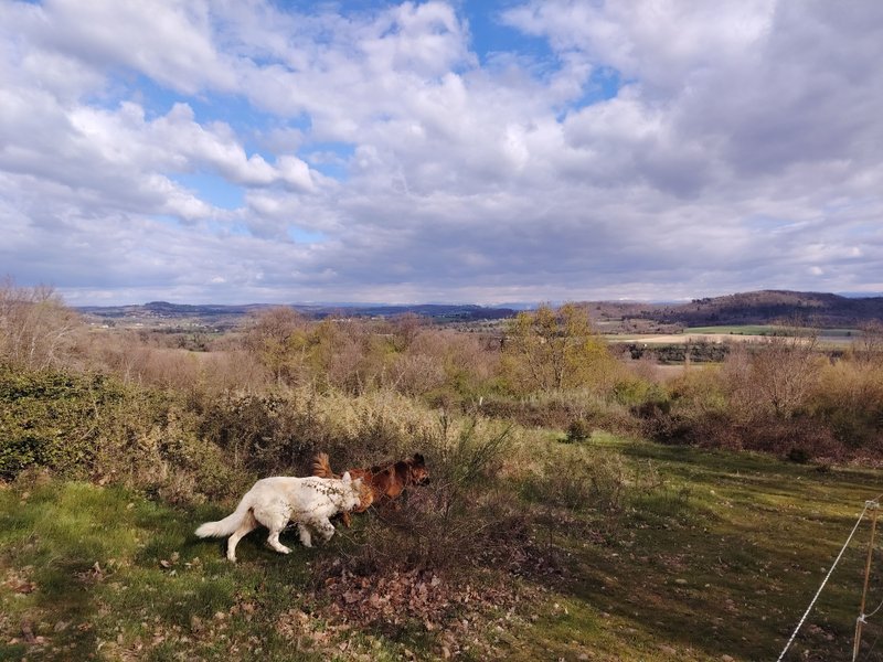 Hébergement AbracadaRoom : Tiny Pony – Dormir au milieu des chevaux jusqu' à 5 personnes - Image 24