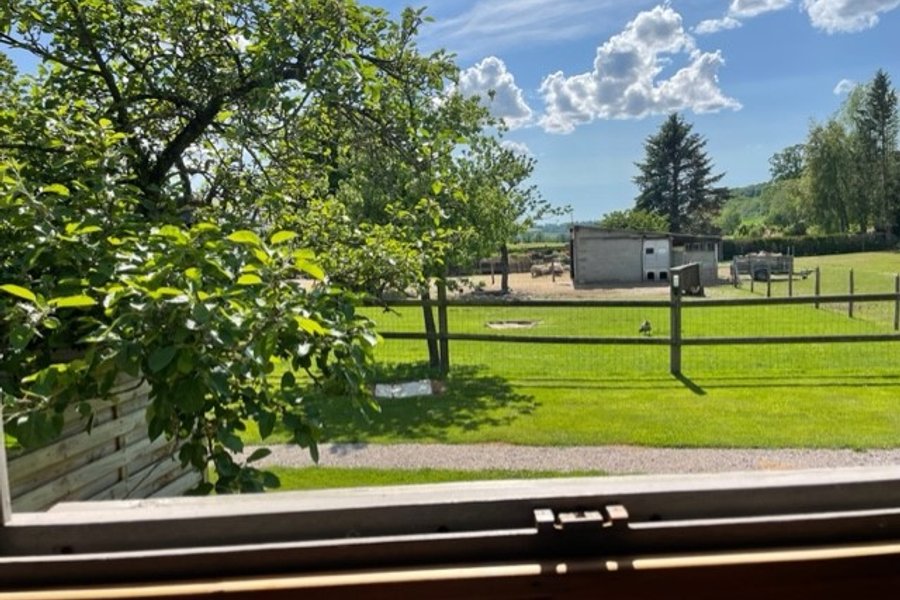 La maison du bonheur roulotte & Spa — photo 2