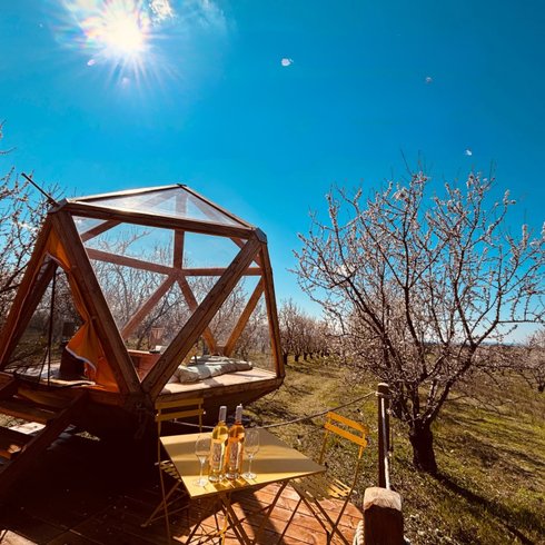 Hébergement AbracadaRoom : La bulle Ico - Image 4