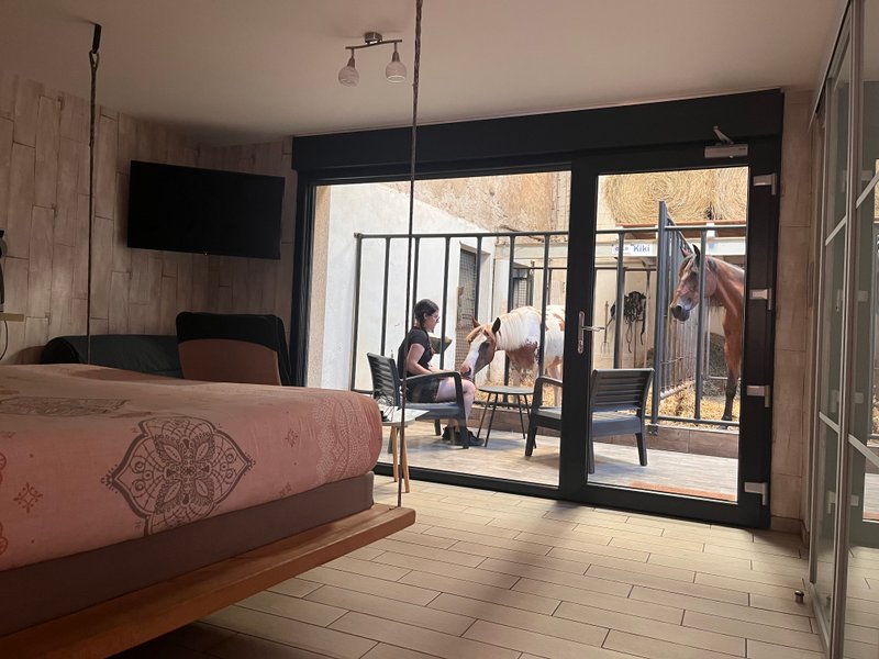 Hébergement AbracadaRoom : Suite 3 - 3 pers. terrasse avec des chevaux pour voisin de chambre - Image 4