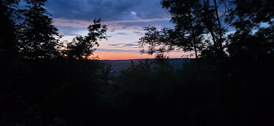 Domaine AbracadaRoom : Les Bulles du  Coq de Champagne - Image 24