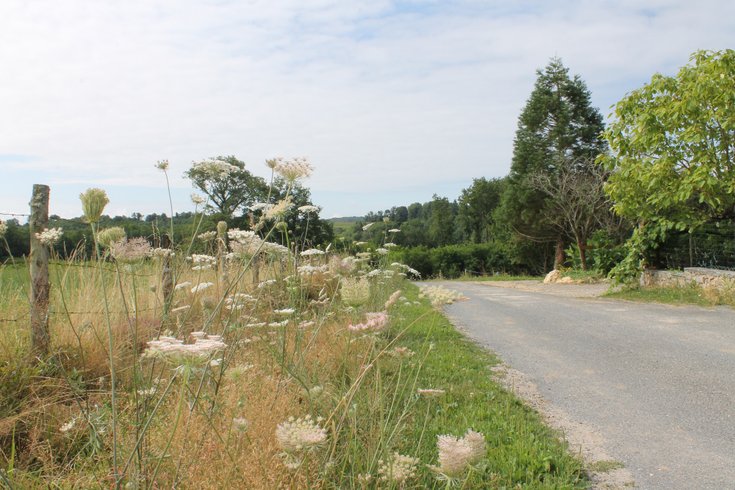 Domaine AbracadaRoom : L'Etoile Perchée - Image 19