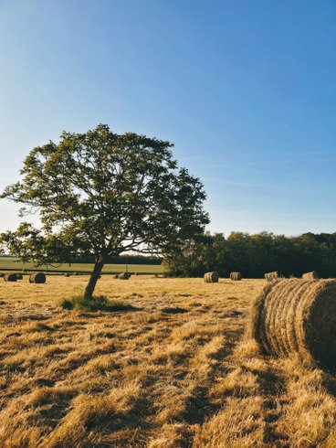 Hébergement AbracadaRoom : Parcel Tiny House - En Bourgogne - Image 5