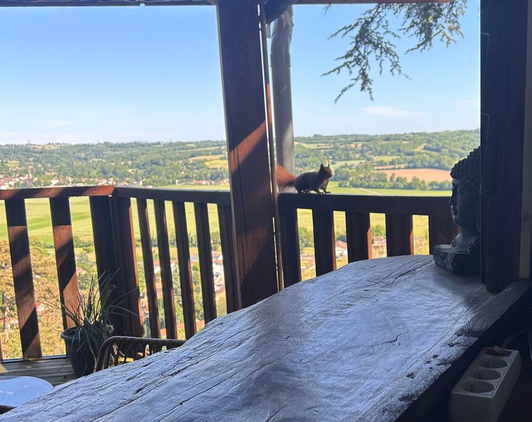 Domaine AbracadaRoom : CHAMBRES BULLES DODO LODGE - Image 3