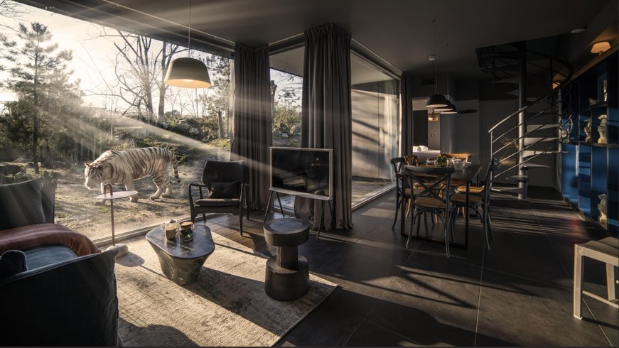 Hébergement AbracadaRoom : Lodge Tigre blanc & Spa & Dîner - Accès au zoo - Image 1