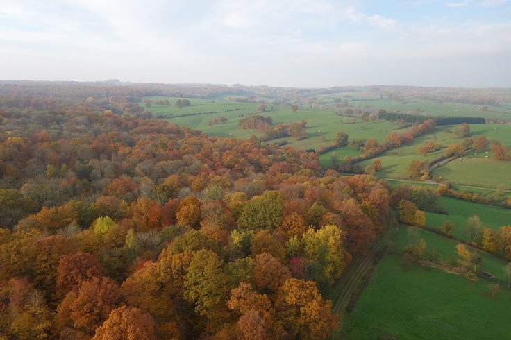 Domaine AbracadaRoom : Le Chêne Perché - Image 2