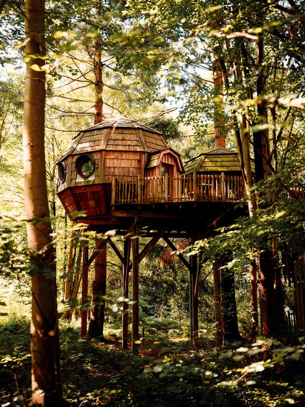Cabane Spa Coupole à Raray (1)